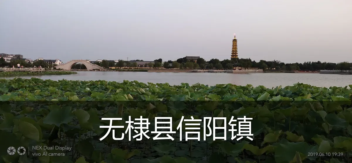 无棣县信阳镇