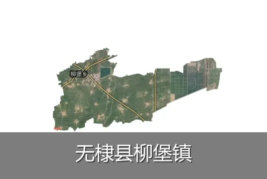 无棣县柳堡镇