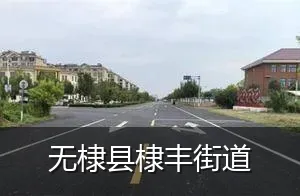无棣县棣丰街道