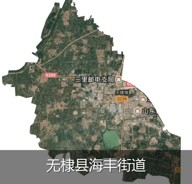 无棣县海丰街道
