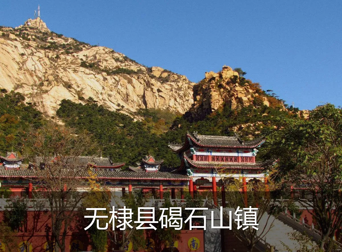 无棣县碣石山镇